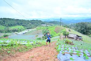 BIB: 
                            <button type="button" onclick="openModal(13378807)" class="btn btn-primary btn-sm float-right btn-popup" data-toggle="modal" data-target=".modal-high-quality">
                        <i class="fas fa-shopping-cart"></i> Add to Cart
                    </button>
                                            <button type="button" onclick="isThisMe(13378807, true)" class="btn btn-success btn-sm float-right btn-popup btn-isme hidden" data-toggle="tooltip" data-placement="bottom" title="นี่คือรูปของคุณใช่ไหม คลิกที่นี่เพื่อเอาเข้าอัลบั้ม">
                        <i class="fas fa-plus"></i> Add to album
                    </button>
                    <button type="button" onclick="isThisMe(13378807, false)" class="btn btn-warning btn-sm float-right btn-popup btn-isnotme hidden">
                        <i class="fas fa-ban"></i> Remove from album
                    </button>